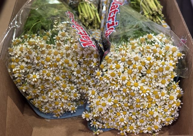 IMG_20260226_112823_554@486920447